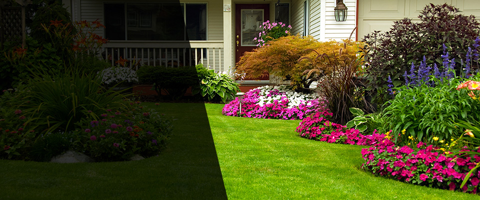 Jacksonville Landscapers